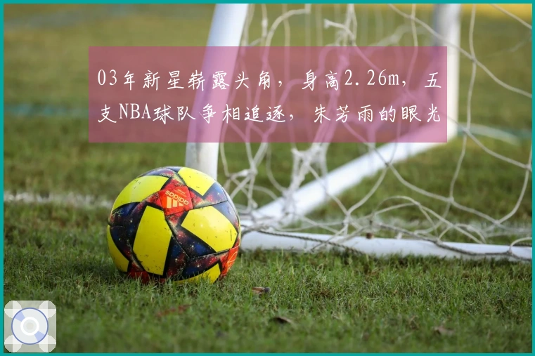03年新星崭露头角，身高2.26m，五支NBA球队争相追逐，朱芳雨的眼光无误
