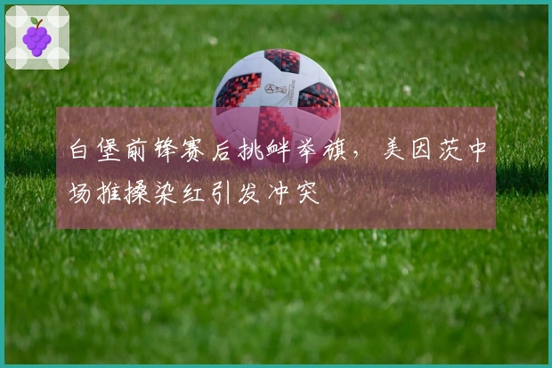 白堡前锋赛后挑衅举旗，美因茨中场推搡染红引发冲突