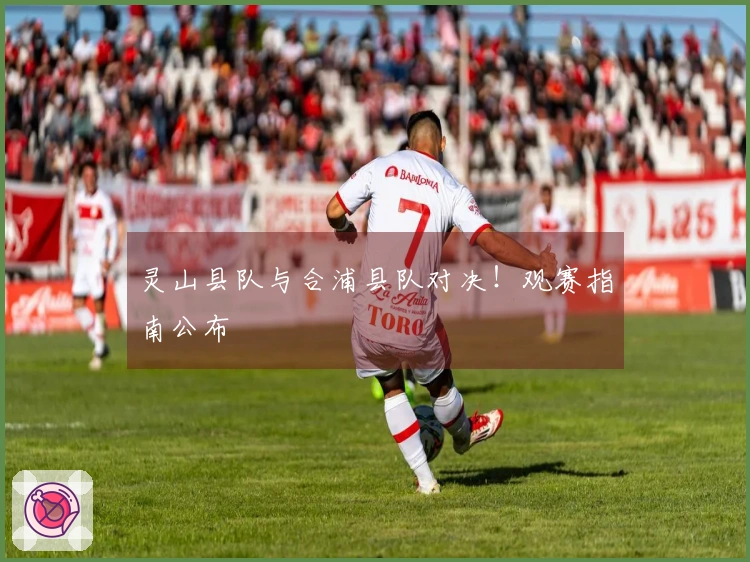 灵山县队与合浦县队对决！观赛指南公布